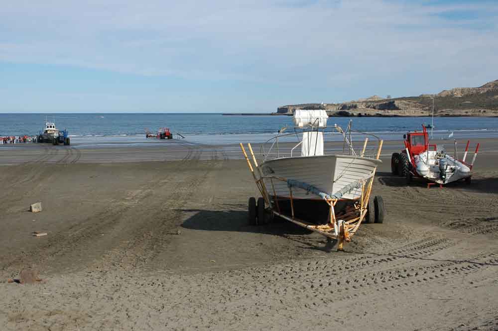 Argentina 107 - península Valdes - Puerto Pirámide - playa.jpg